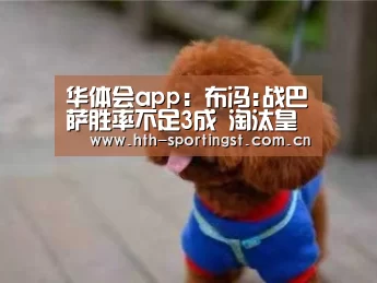 华体会