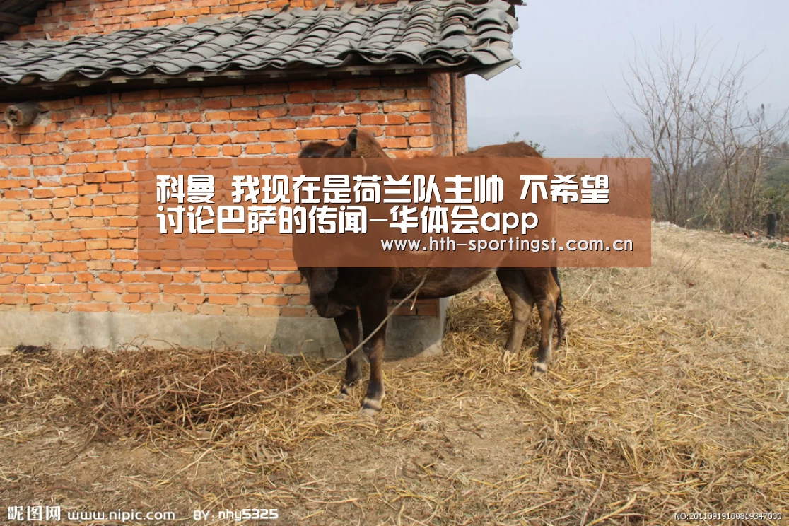 科曼 我现在是荷兰队主帅 不希望讨论巴萨的传闻-华体会app(图3) 华体会