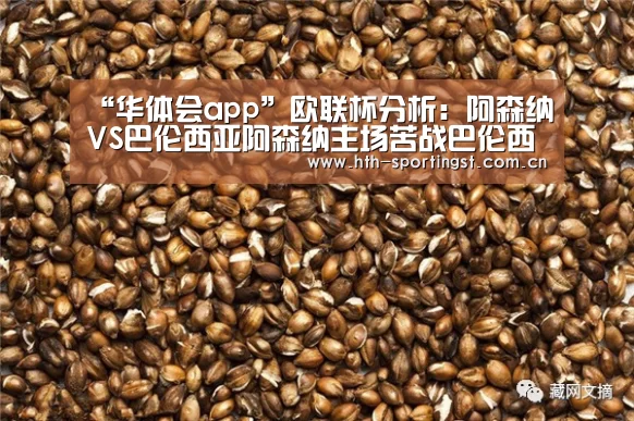 “华体会app”欧联杯分析:阿森纳VS巴伦西亚阿森纳主场苦战巴伦西亚?(图3) 华体会